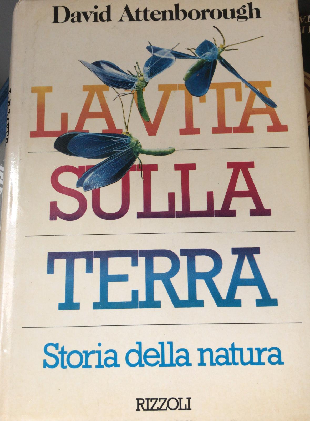 LA VITA SULLA TERRA